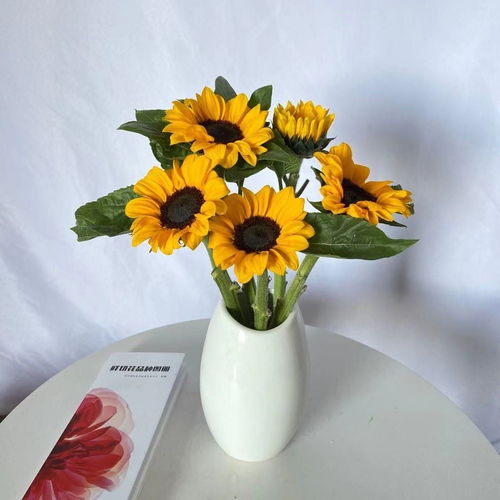 向日葵送真情 母親節(jié)鮮花速遞，專屬禮遇獻(xiàn)長輩與領(lǐng)導(dǎo)